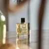 Vetiver Insolent Eau De Parfum